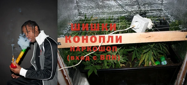крисы Михайловка