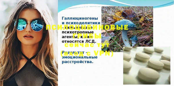 spice Михайловск