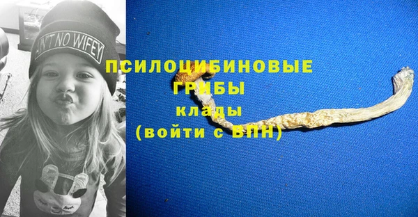 крисы Михайловка