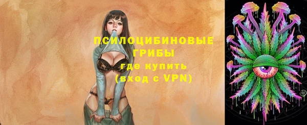 spice Михайловск