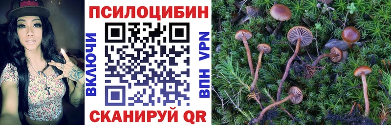 Галлюциногенные грибы ЛСД  дарнет шоп  Новосокольники 